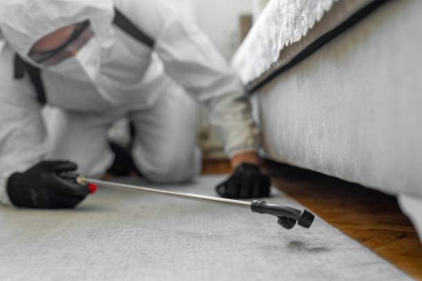 Professional Bed Bug Control technician working in Philadelphia, MS