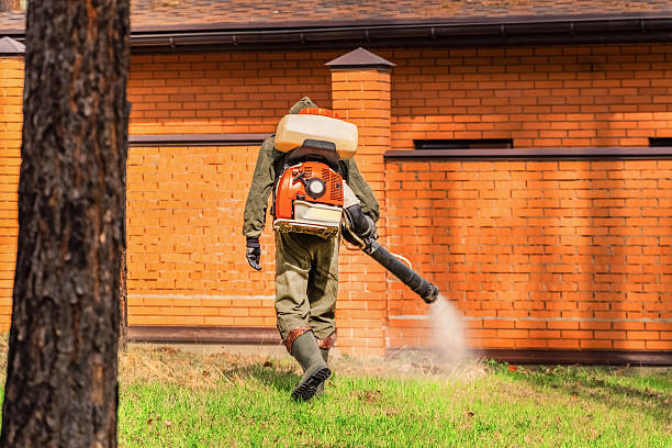 Trusted Cockroach Control service in Philadelphia, MS - Nex Pest Control